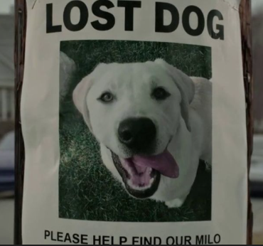 Screenshot taken from Ring’s “Be a Hero in your Neighborhood.”